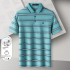 Pierre Cardin Men’s Green Striped Polo Shirt P61113013J56